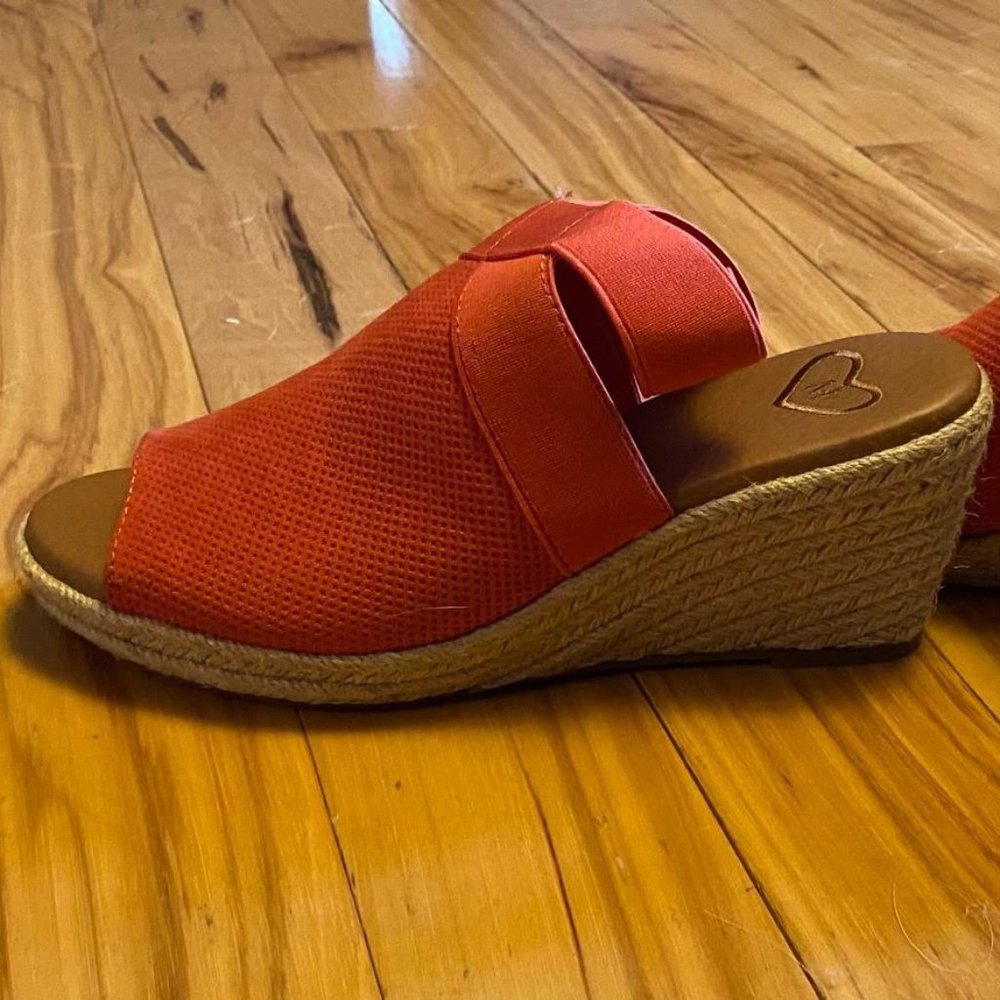 Coral Wedges